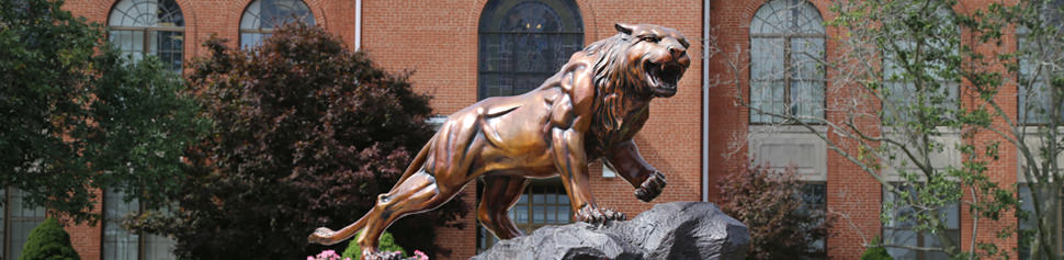 McKendree's Bearcat Statue