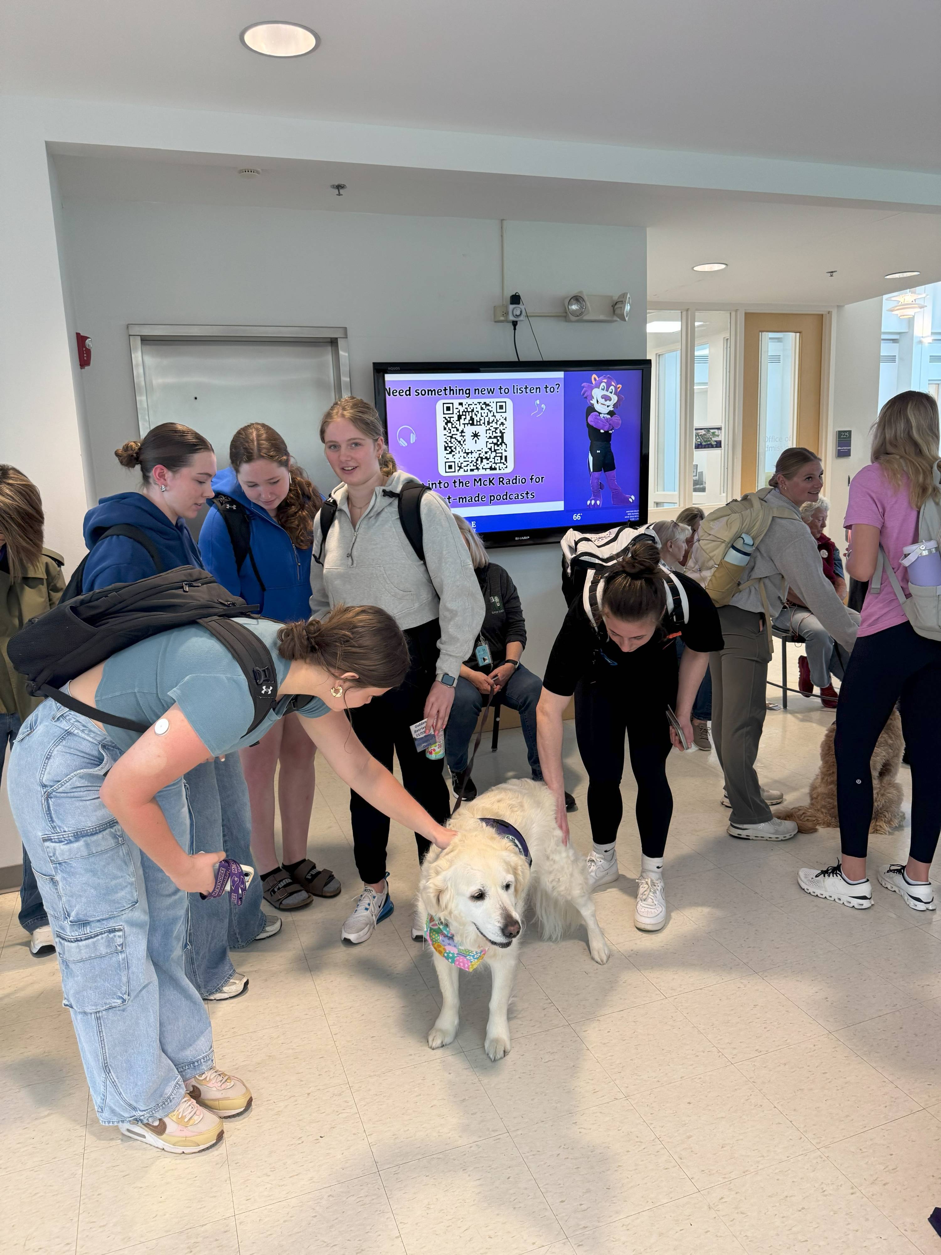 Got Your Six Dogs with MCK Students