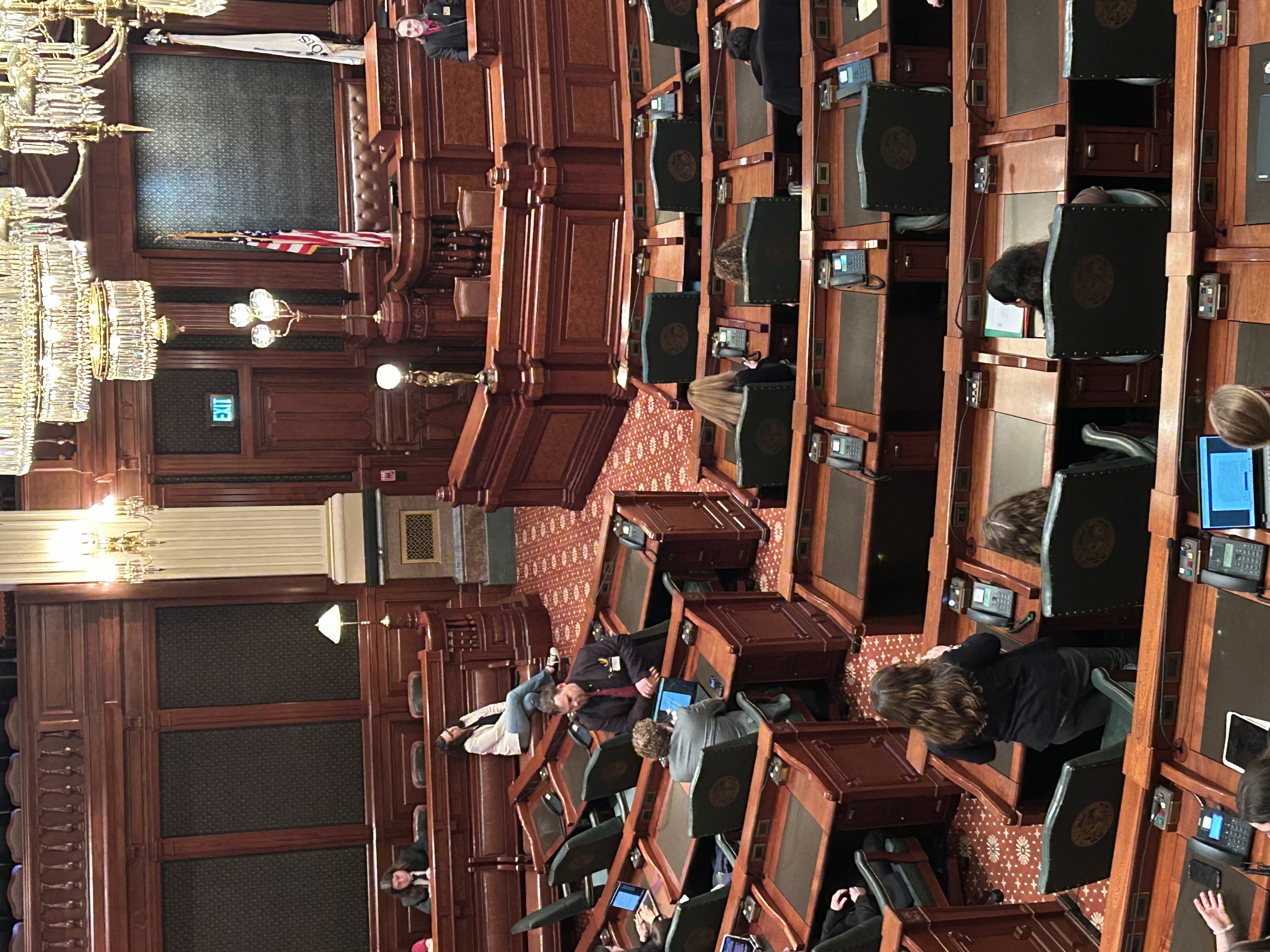 Anna Rose Sheehan addressing the House of Representatives, Conner Bennett sitting by her, Shane Richardson-Veil in action on the floor of the House of Representatives as Republican Whip