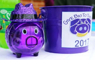 Purple Pig