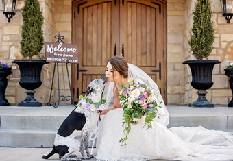 A Four-Legged Ring Bearer? She Can Help