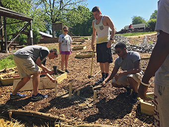 Students working in the field