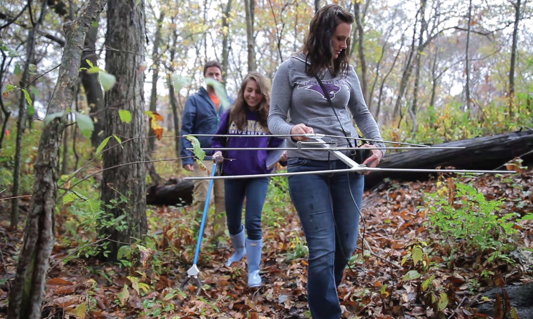 Photo of a Snake Hunt