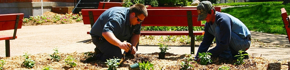 Photo of Physical Plant workers Planting Flowers