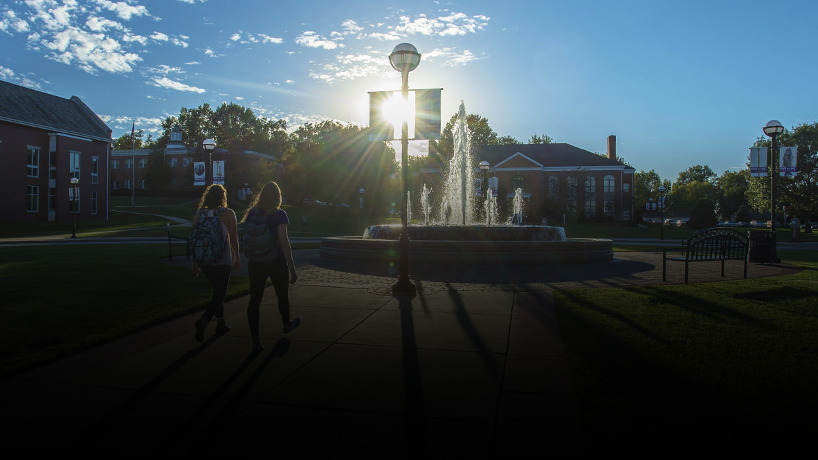 Sunrise over the library