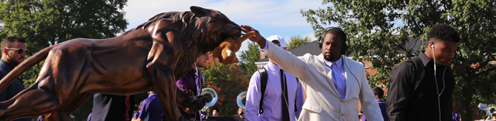 Male Student Rubbing the Nose of the Bearcat Statue