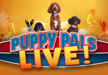 Puppy Pals LIVE