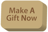 make a gift now